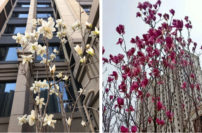 微信截图_20200415210416.png
