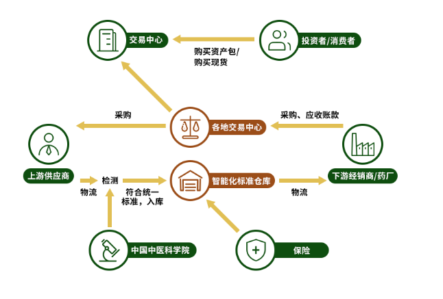 国药药材:中药材供应链基础建设与贸易-蓝美金博网