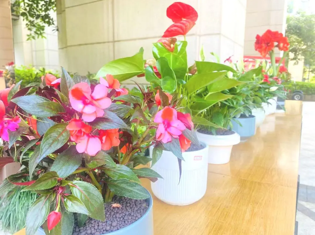 1724141501126328.png 2.png