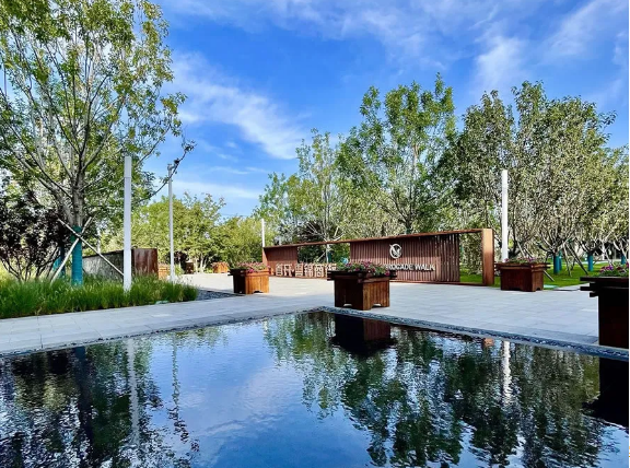 1764299802441756.png 20.png