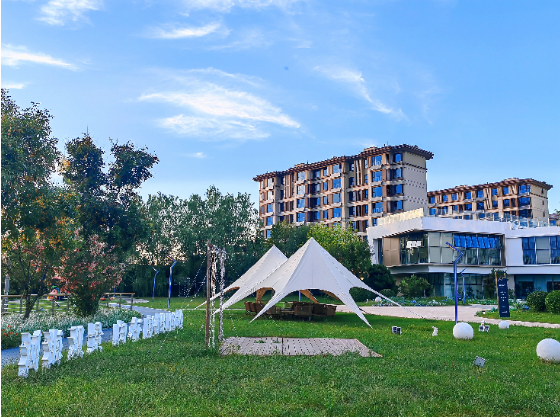 1766372326306490.png 01.png