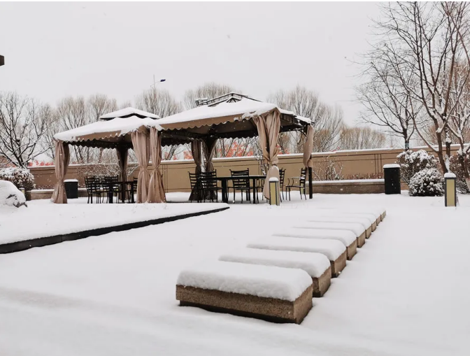 1766730494971622.png 10.png