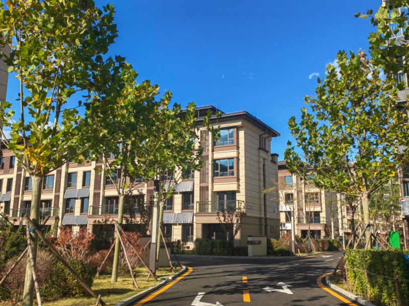 1772160773176969.png 实景图1.png