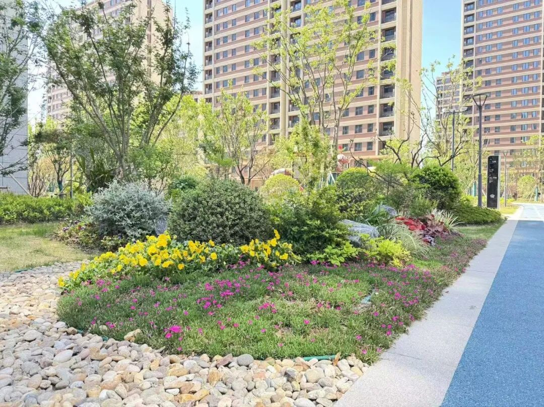 1779956901947513.jpg 远洋集团旗下远洋建管代建的慈溪杭湾金融港安置房政府代建项目提前竣备实景图-3.jpg