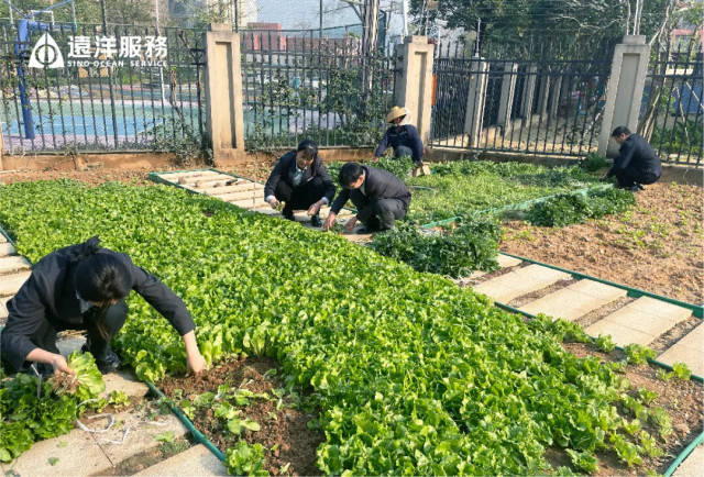 远洋物业服务焕新社区实拍图