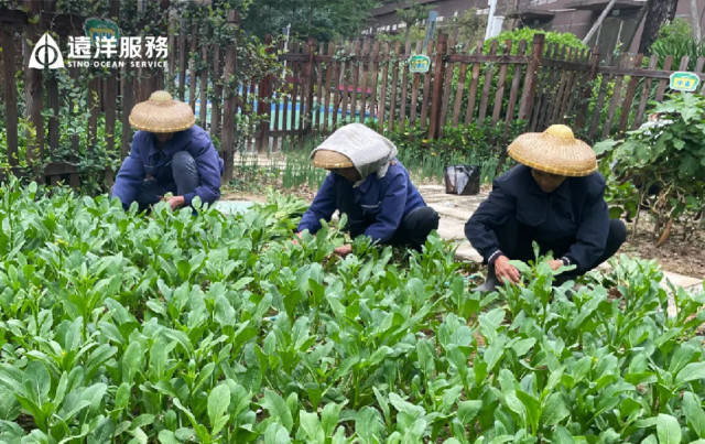 远洋物业服务焕新社区实拍图