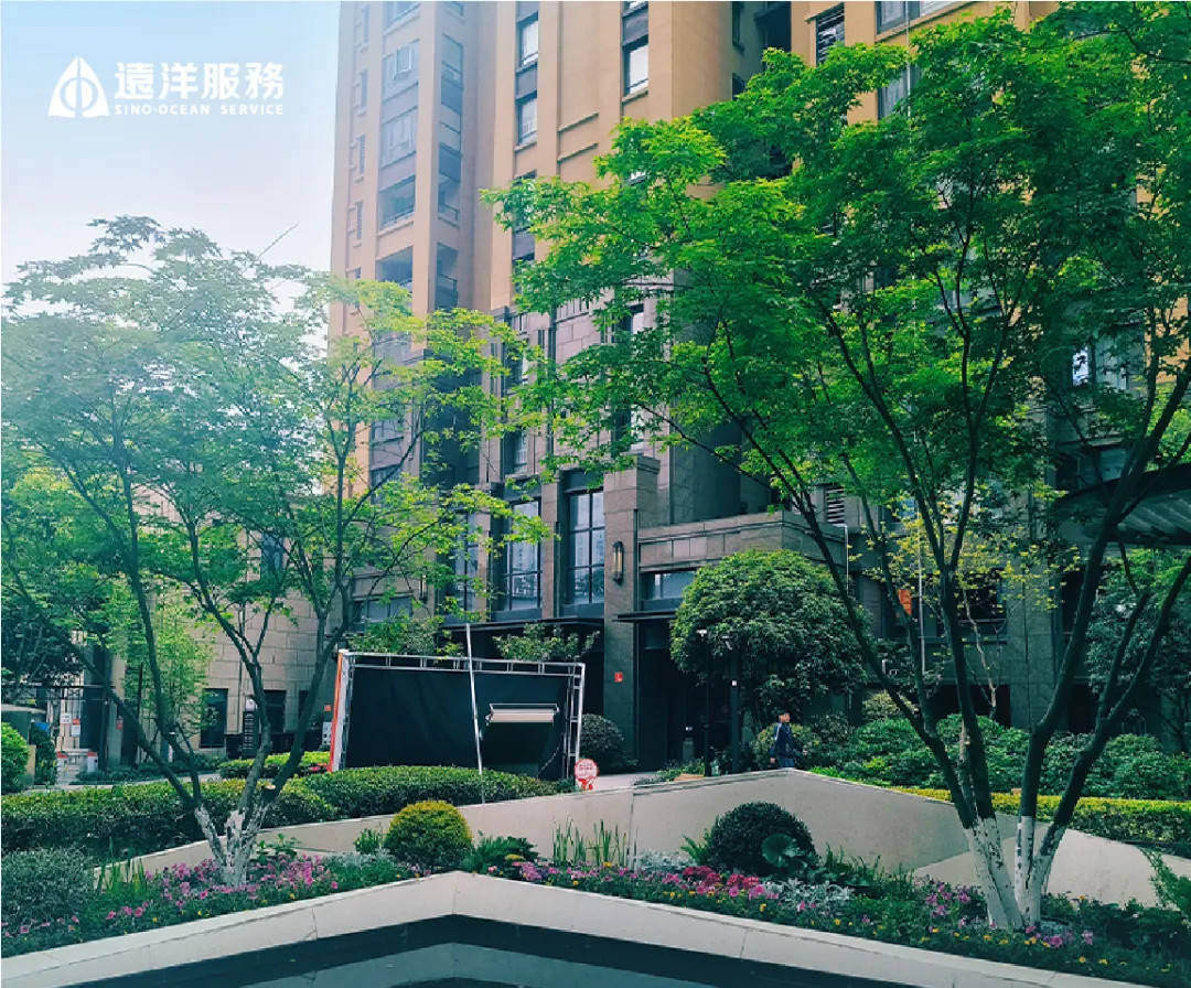 远洋物业服务焕新社区实拍图