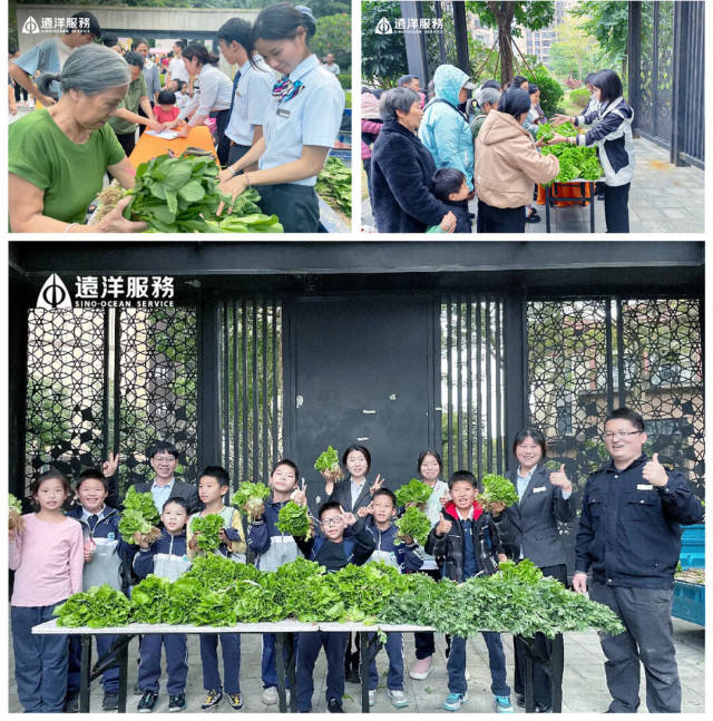 远洋物业服务焕新社区实拍图