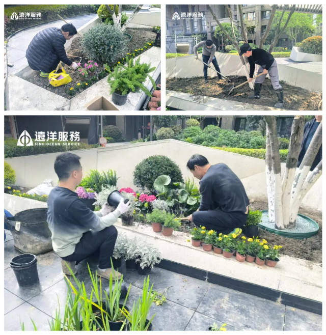 远洋物业服务焕新社区实拍图
