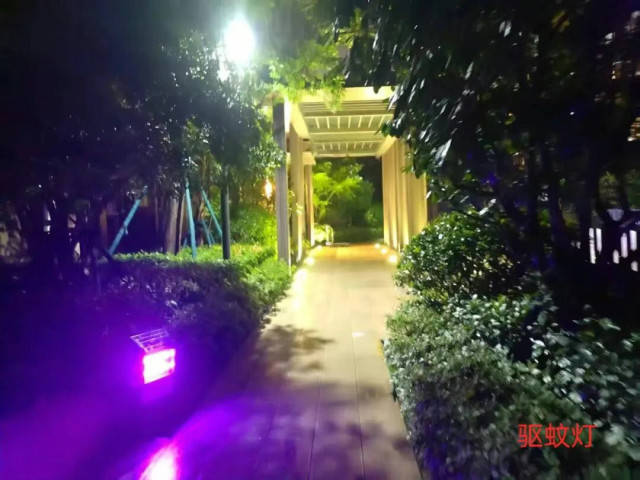 远洋物业人工作实拍