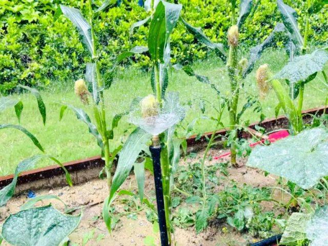 远洋物业人服务工作实拍