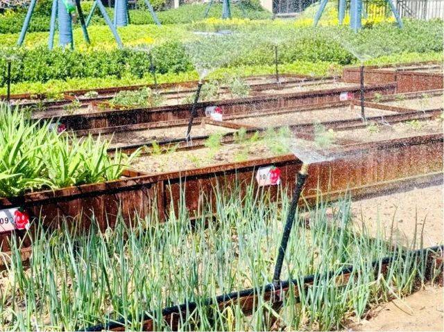 远洋物业人服务工作实拍