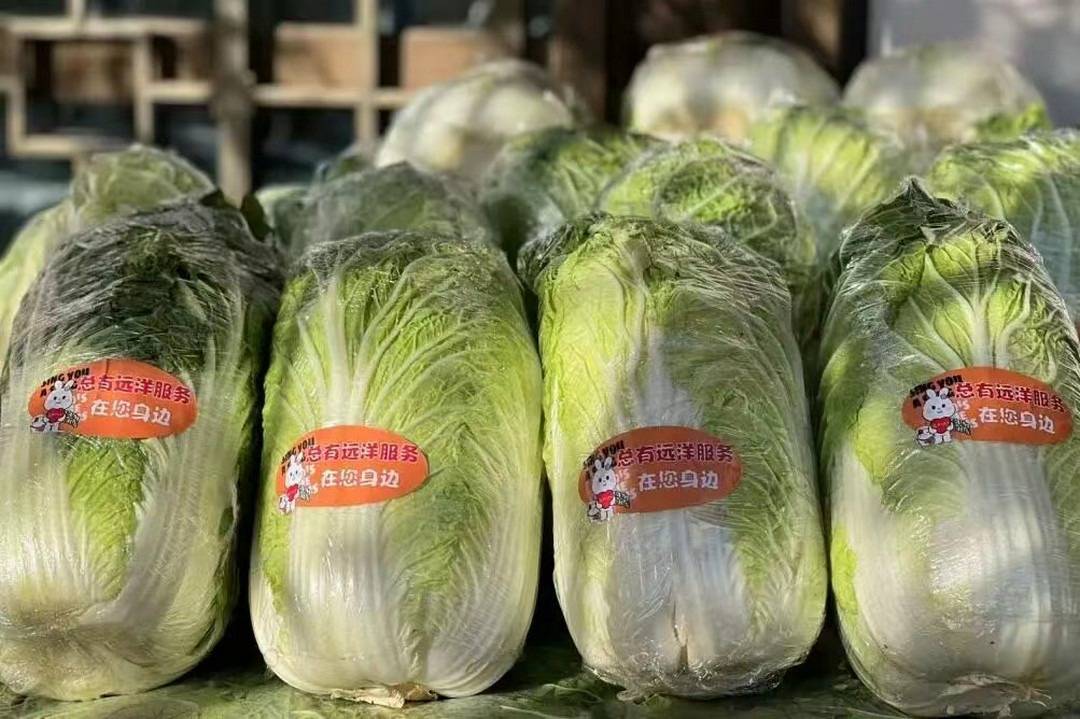 远洋服务人员工作实拍