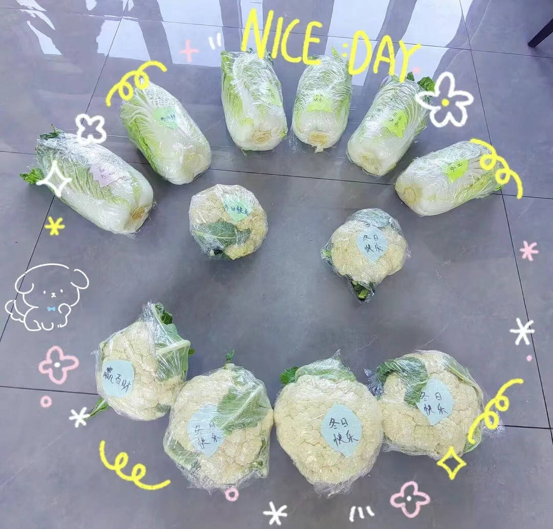 远洋服务华东公司冬日暖心活动现场实拍