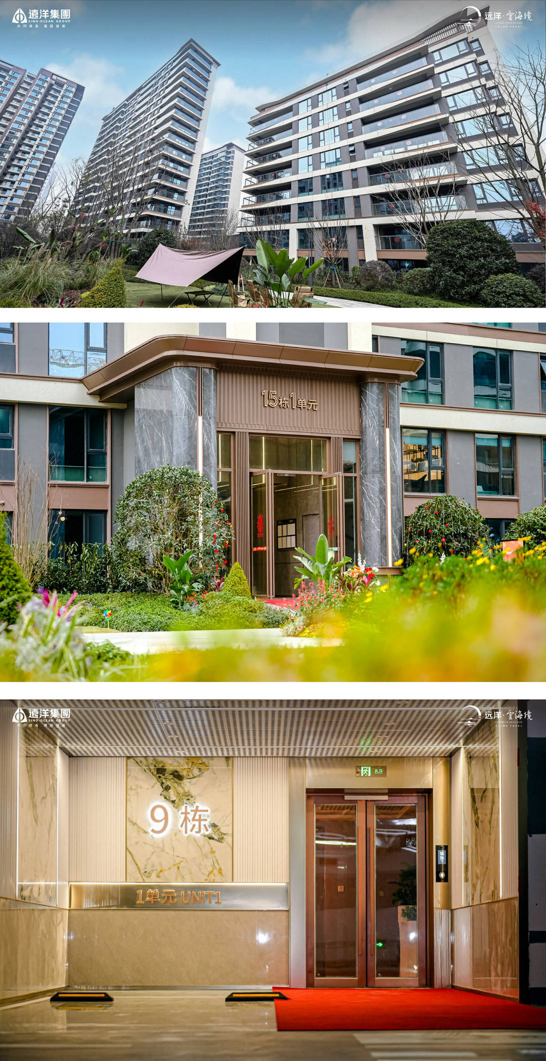 远洋集团成都项目远洋森海境北区交付现场实拍