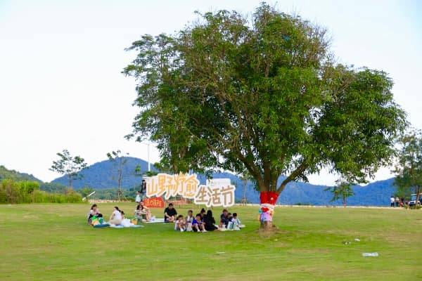 远洋集团旗下三亚大茅远洋生态村成功举办山野疗愈生活节